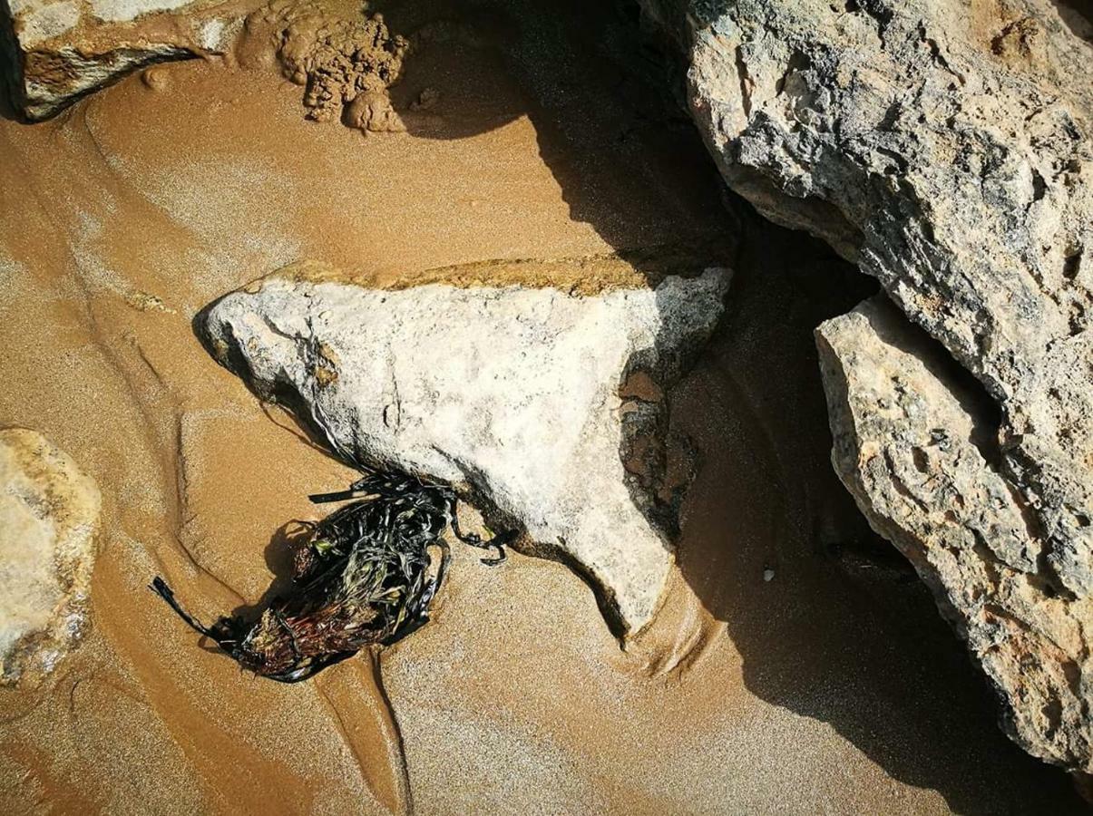 A Dimora Di Nene Villa Marina di Modica Exteriör bild